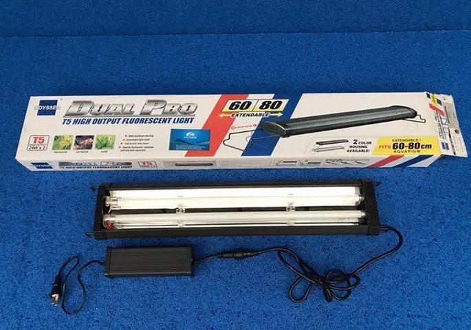 Đèn Led Pom Cá Rồng Đèn Led Pom Cá Rồng