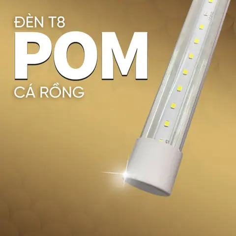 Đèn Led Pom Cá Rồng Đèn Led Pom Cá Rồng