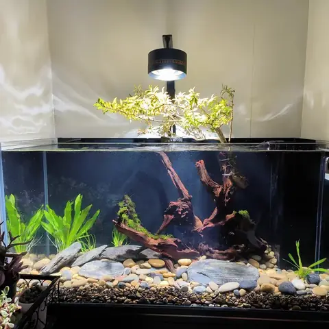 Đèn Led Rgb Cho Bể Cá
