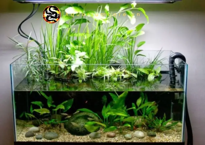 Đèn Led Thủy Sinh 1m
