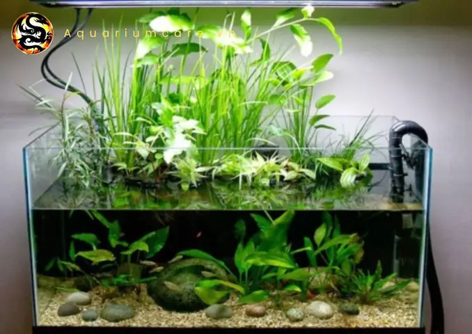 Đèn Led Thủy Sinh 1m