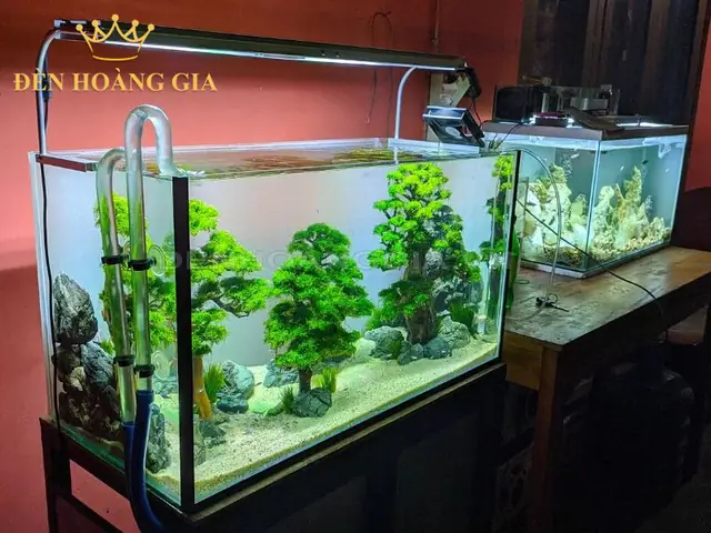 Đèn Led Thủy Sinh Tốt Nhất