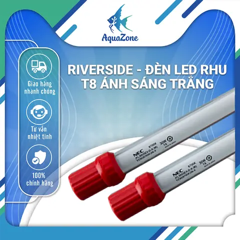 Đèn Led Trắng Hồ Cá