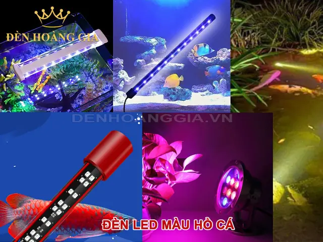 Đèn Led Trắng Hồ Cá