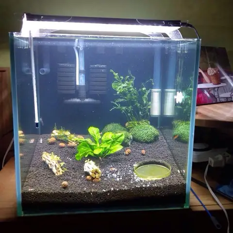 Đèn Led Trang Trí Bể Cá