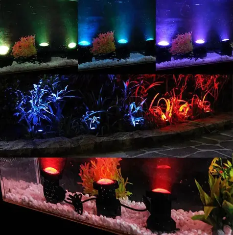 Đèn Led Trang Trí Hồ Cá