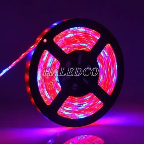Đèn Led Trồng Cây 12v