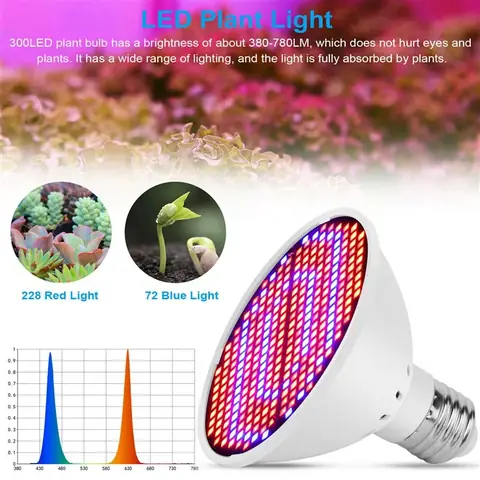 Đèn Led Trồng Cây 12v
