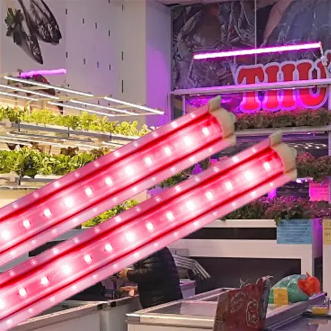 Đèn Led Trồng Cây Điện Quang