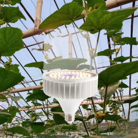 Đèn Led Trồng Cây Giá Rẻ