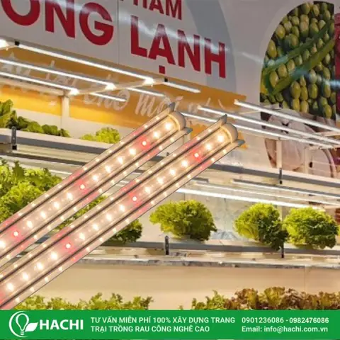 Đèn Led Trồng Rau Thủy Canh