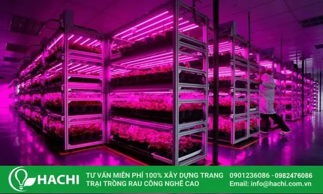 Đèn Led Trồng Rau Thủy Canh