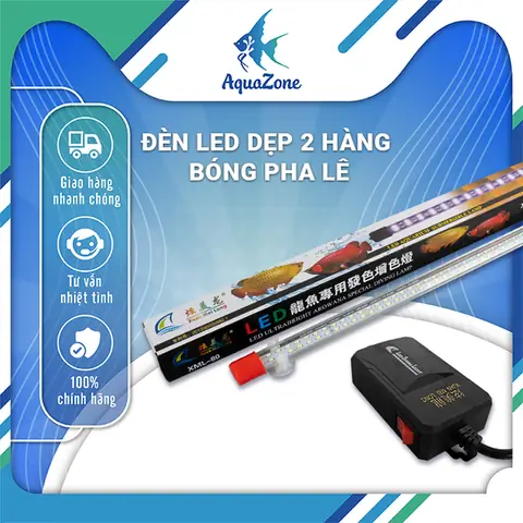 Đèn Lên Màu Cho Cá Rồng