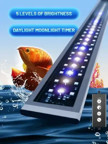 Đèn Magic Led Cho Cá Rồng