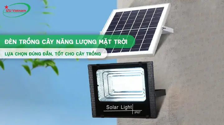 Đèn Mặt Trời Trồng Cây