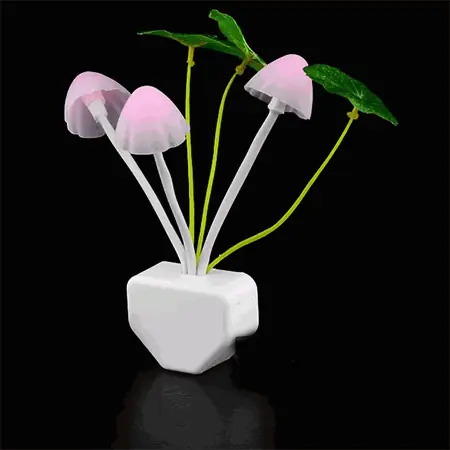 Đèn Ngủ Cảm Ứng Ánh Sáng