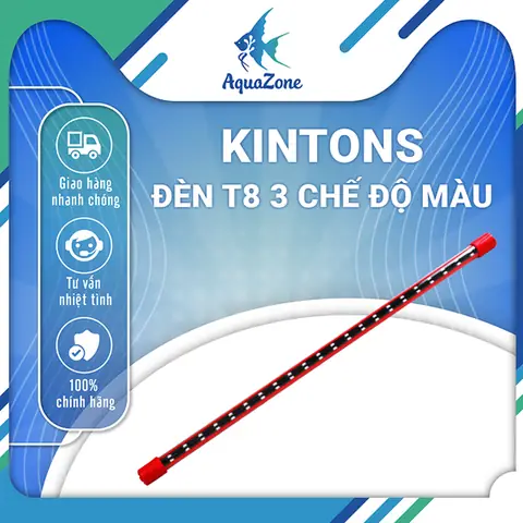 Đèn Ngủ Cho Cá Rồng