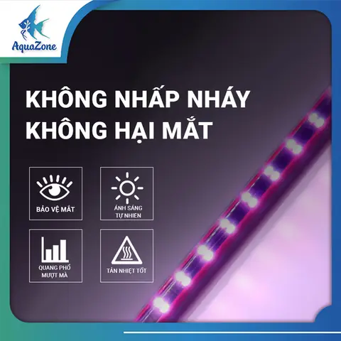 Đèn Ngủ Cho Cá Rồng