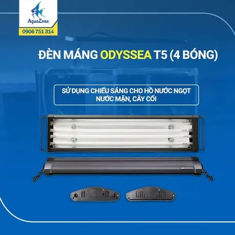 Đèn Odyssea 1m2 4 Bóng Đèn Odyssea 1m2 4 Bóng