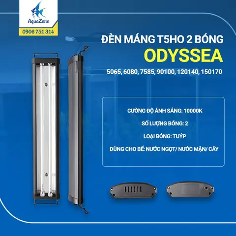 Đèn Odyssea 1m5 2 Bóng
