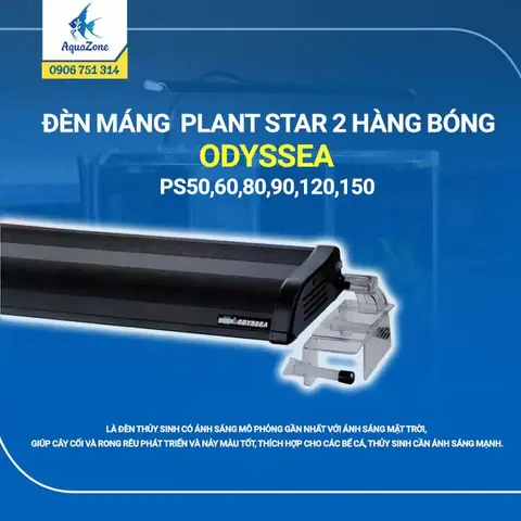 Đèn Odyssea 60 2 Bóng Đèn Odyssea 60 2 Bóng