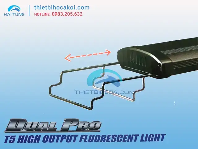 Đèn Odyssea Cho Cá Rồng