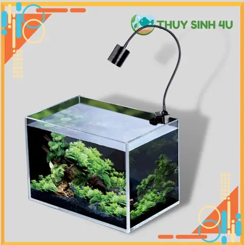 Đèn Rọi Bể Cá Biotop