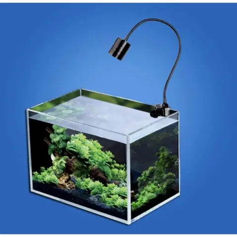Đèn Rọi Bể Cá Biotop