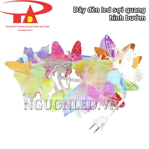 Đèn Soi Tai Của Đức