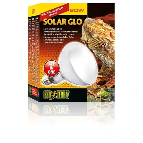 Đèn Solar Cho Bò Sát