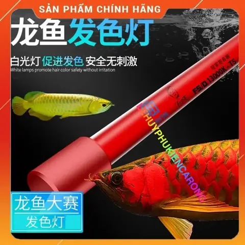 Đèn T5 Cho Cá Rồng