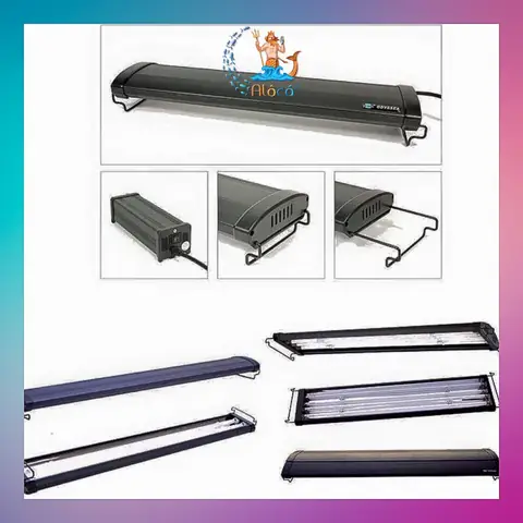 Đèn T5ho Cho Cá Rồng
