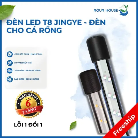 Đèn T8 Cho Cá Rồng