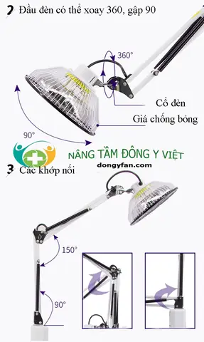Đèn Tần Phổ Đông Á