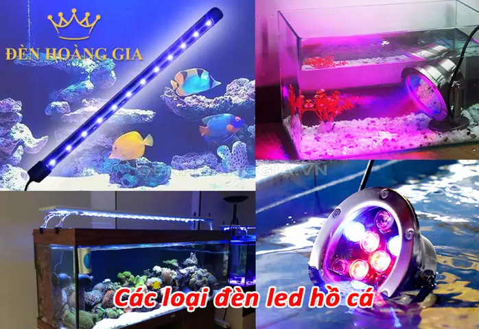 Đèn Thả Chìm Hồ Cá