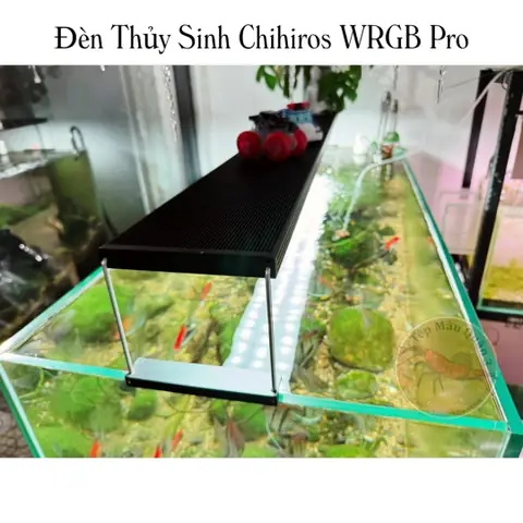 Đèn Thuỷ Sinh Chihiros Wrgb