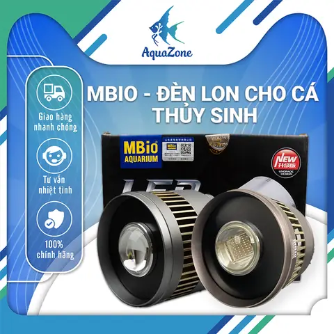 Đèn Thuỷ Sinh Cho Cây Lá Đỏ