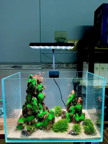 Đèn Thủy Sinh Nào Tốt