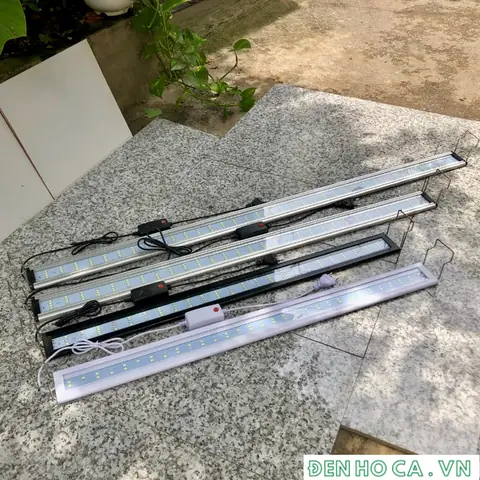 Đèn Thủy Sinh Tự Chế