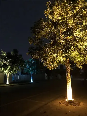 Đèn Trang Trí Gốc Cây