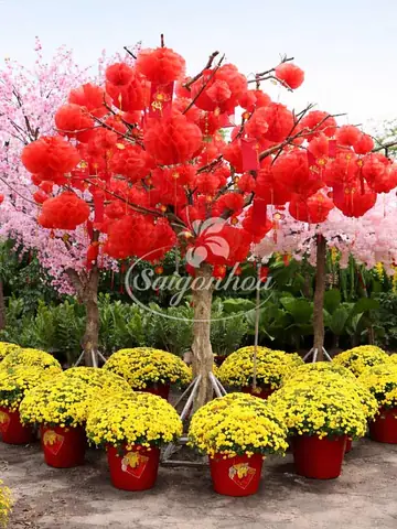 Đèn Trang Trí Sài Gòn