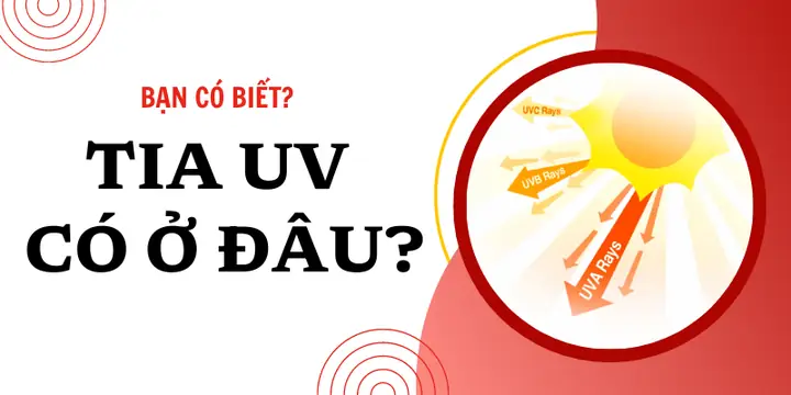 Đèn Trời Mua Ở Đâu