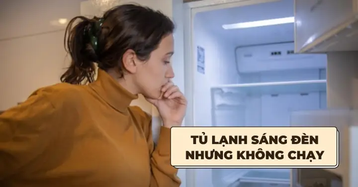 Đèn Tủ Lạnh Chuyển Sang Màu Xanh