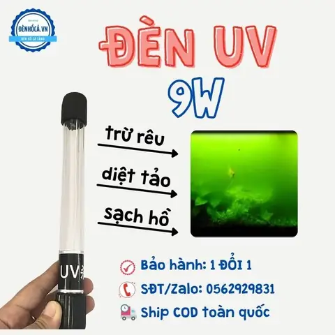Đèn Uv Loại Nào Tốt