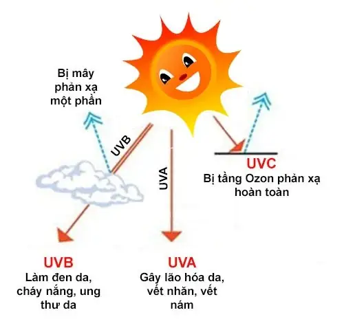Đèn Uva Uvb Là Gì