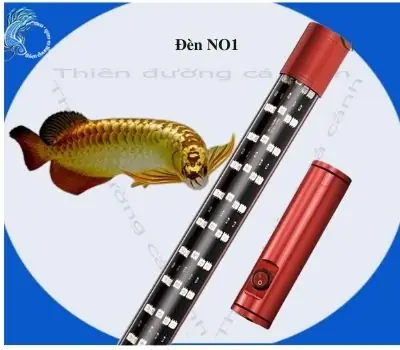 Đèn Vàng Cá Ko Vàng Nước