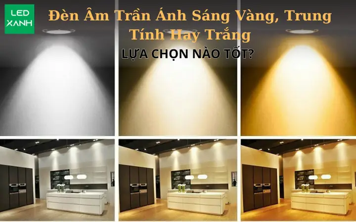 Đèn Vàng Và Đèn Trắng