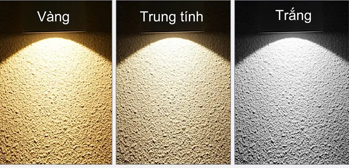 Đèn Vàng Và Đèn Trắng