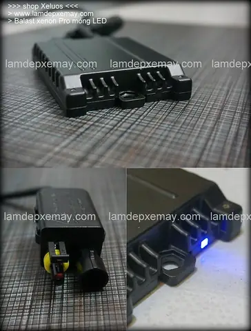 Đèn Xenon Mẹ Bồng Con