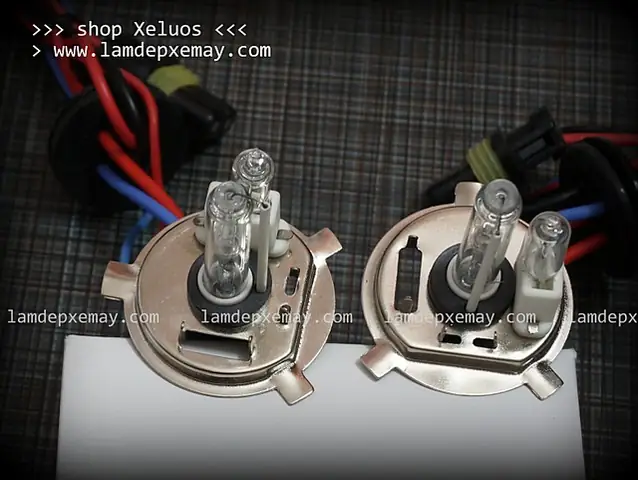 Đèn Xenon Mẹ Bồng Con